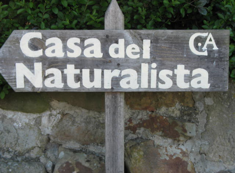 Cartel