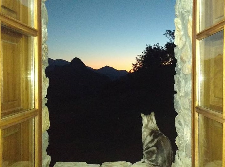 Ventana