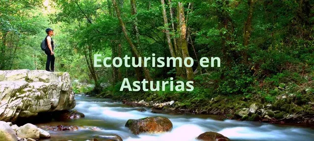 Ecoturismo en Asturias pesca en río